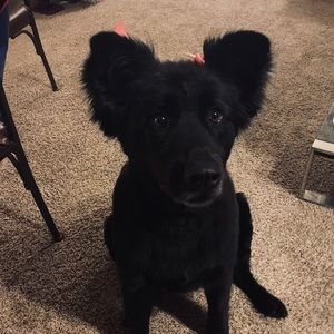 Meet your Posher, Gabriella